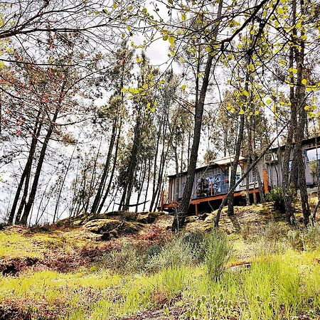 Relax Container Villa Агиар да Бейра Екстериор снимка