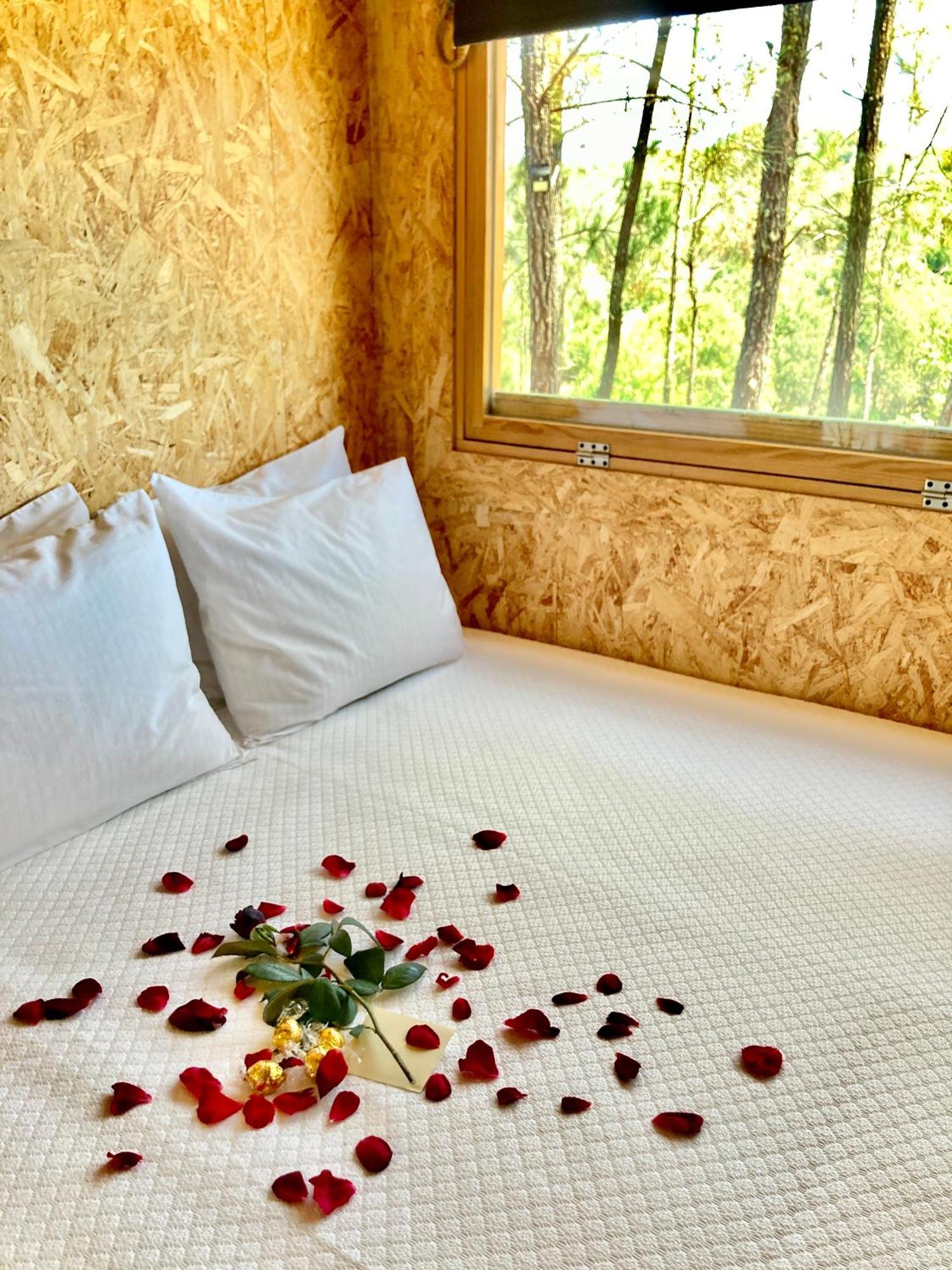 Relax Container Villa Агиар да Бейра Екстериор снимка