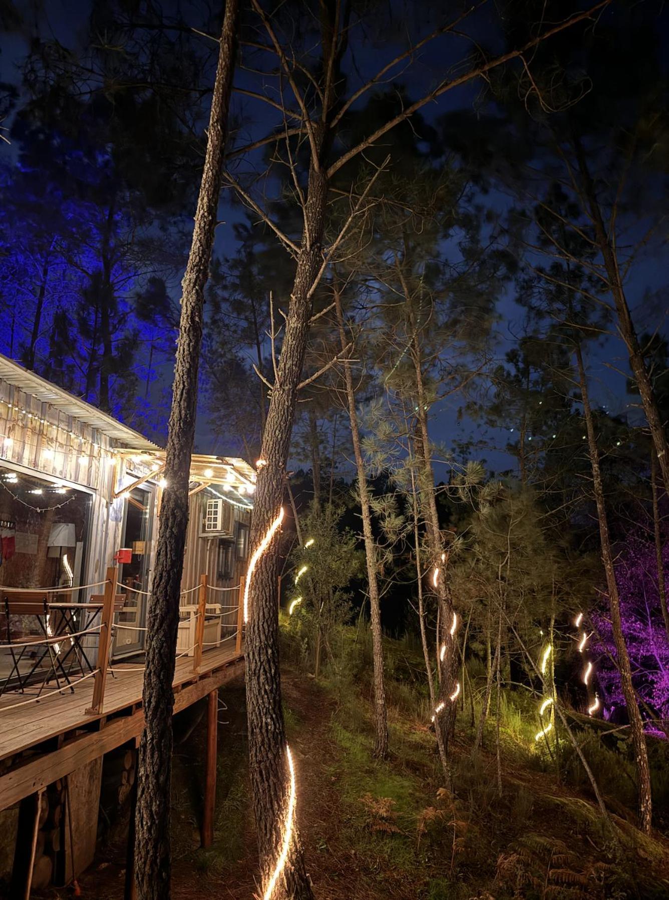 Relax Container Villa Агиар да Бейра Екстериор снимка